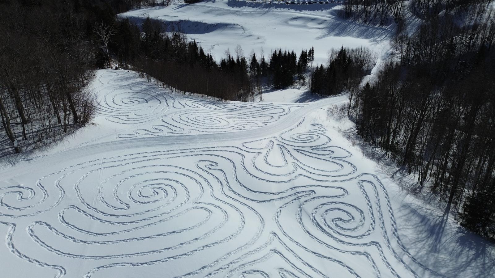 Snowfield with intricate swirling patterns, bordered by dark forest.