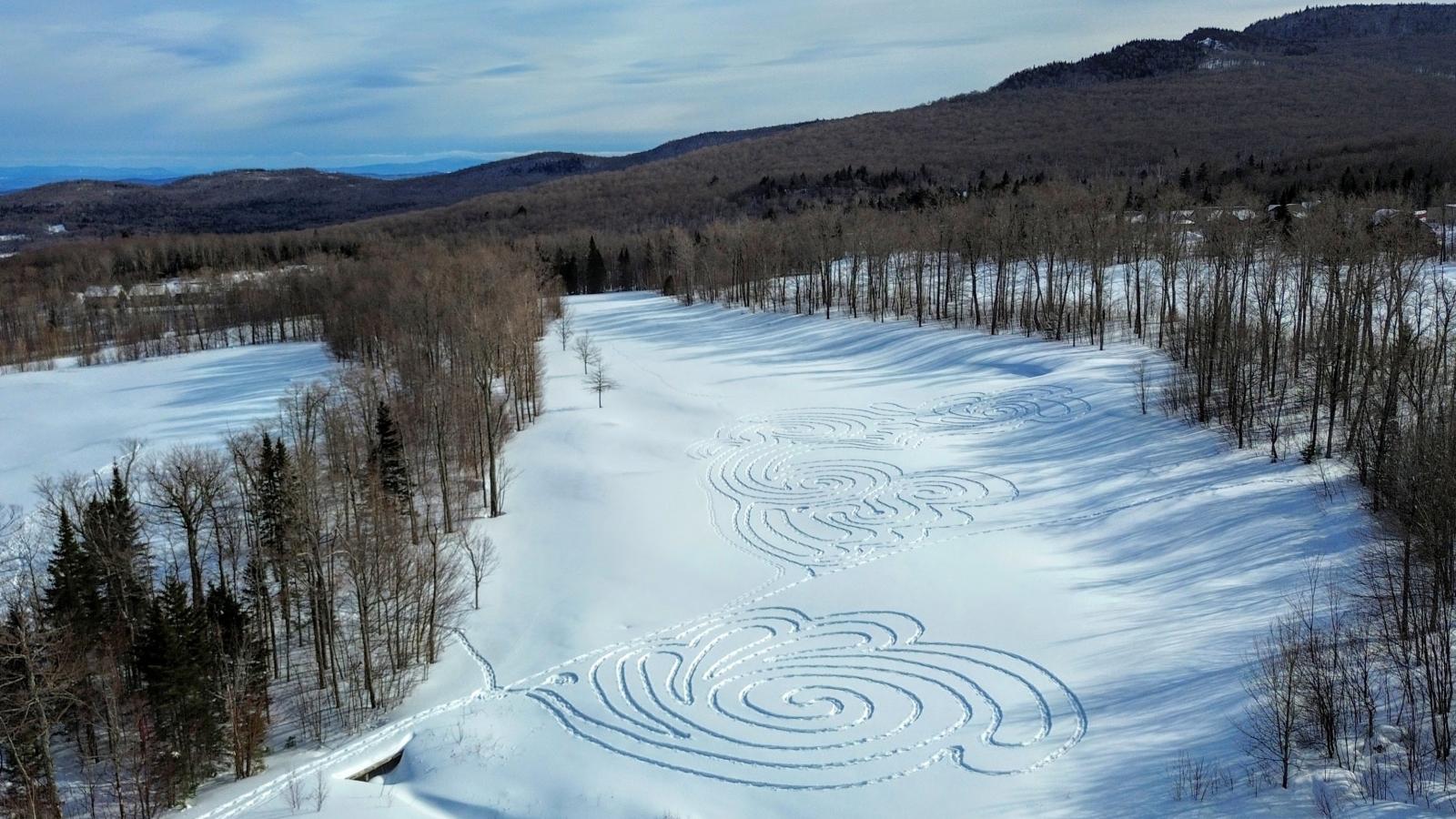 Snowy field with spiral patterns among trees under a cloudy sky.