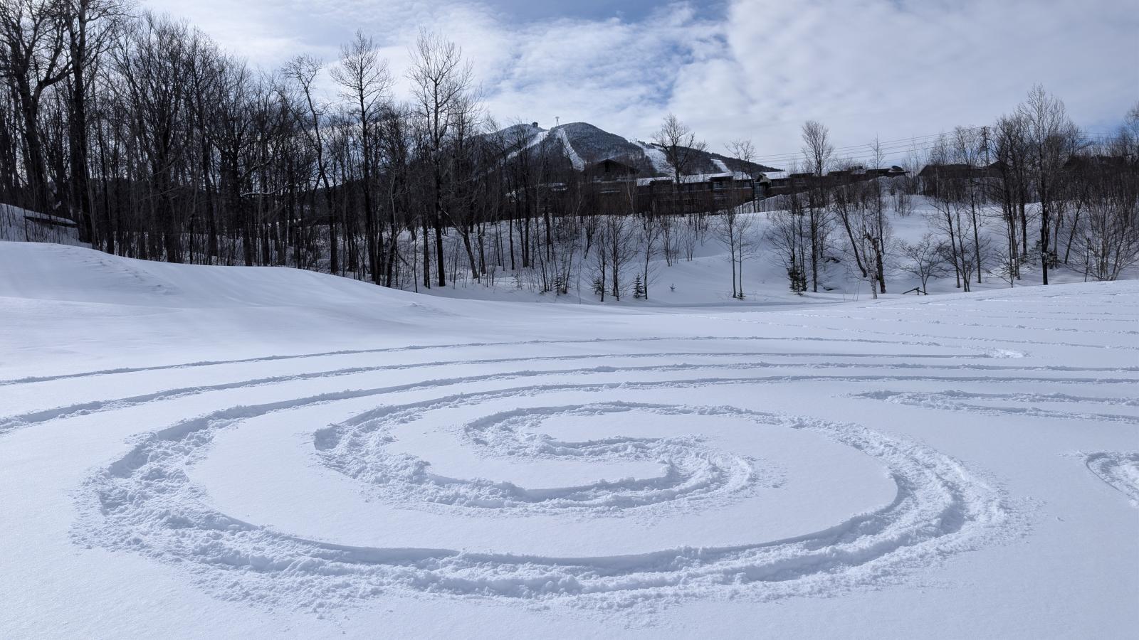 Snowy field with spiral patterns, surrounded by bare trees and distant mountains.