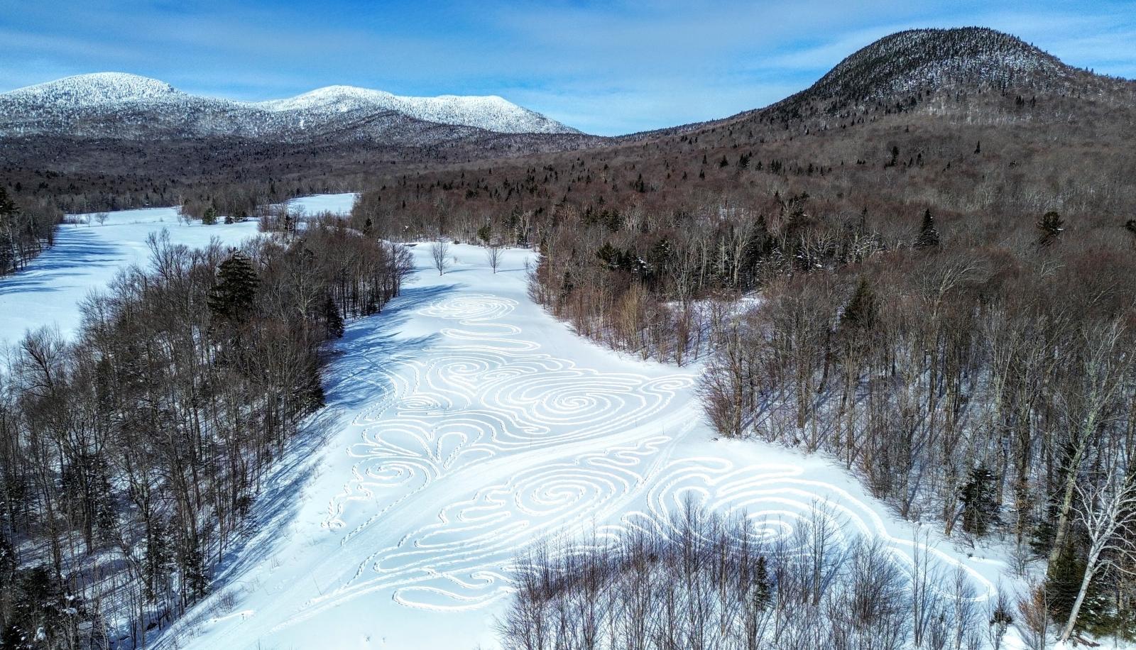Snowy landscape with trees and distant mountains on a sunny day.
