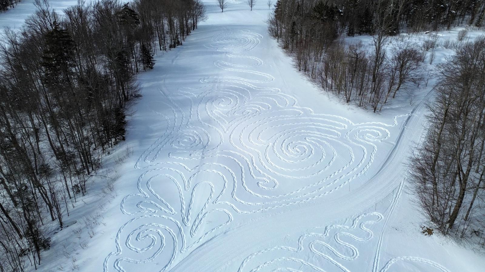 Swirling patterns carved in snow on a snowy field surrounded by trees.