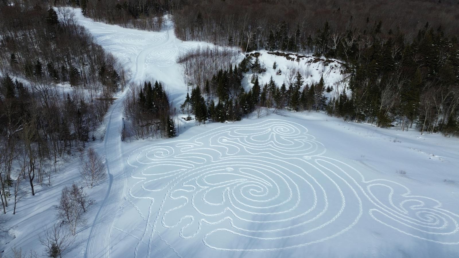 Snowy landscape with intricate geometric patterns on a field, bordered by trees.