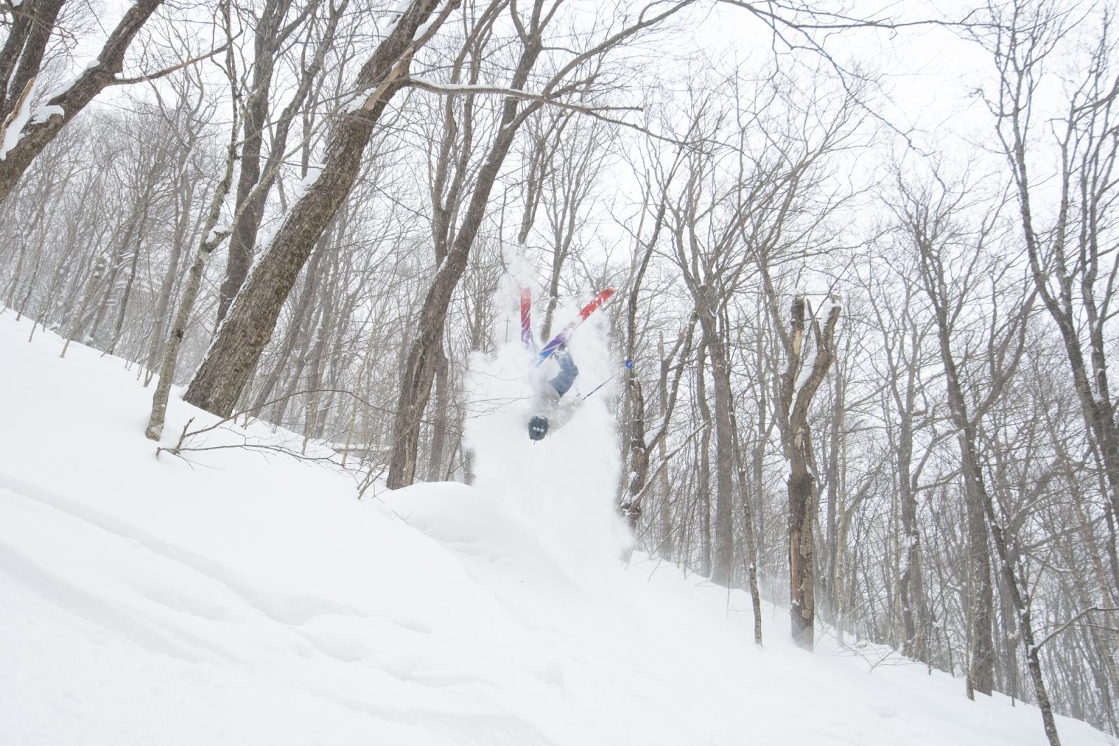 Inverted in the Trees.