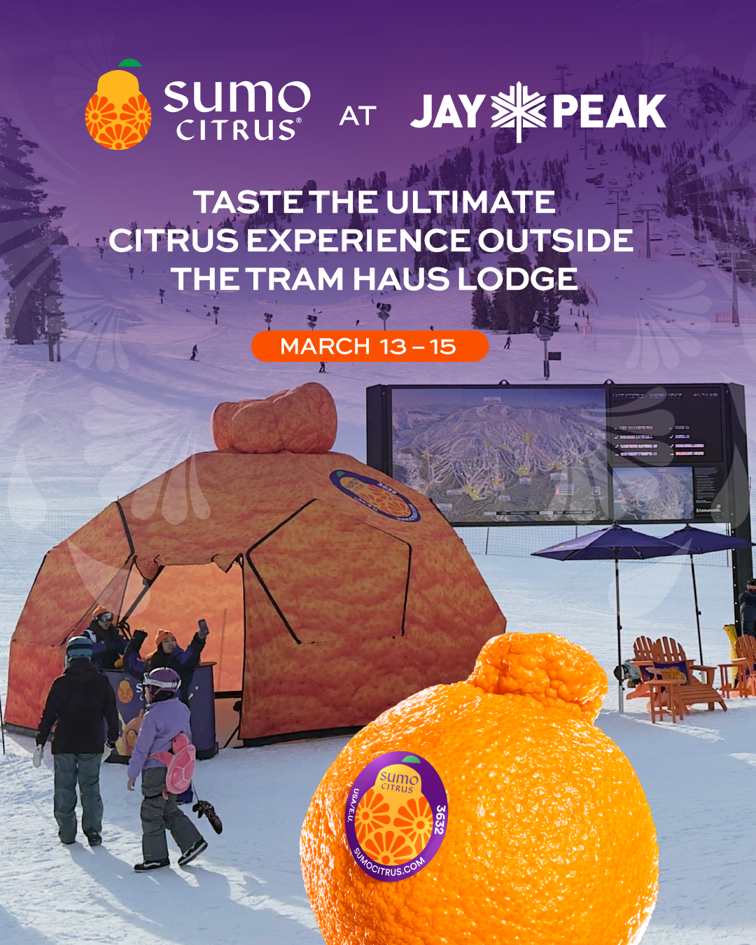 Orange-themed dome and a large Sumo Citrus fruit on snowy mountains.