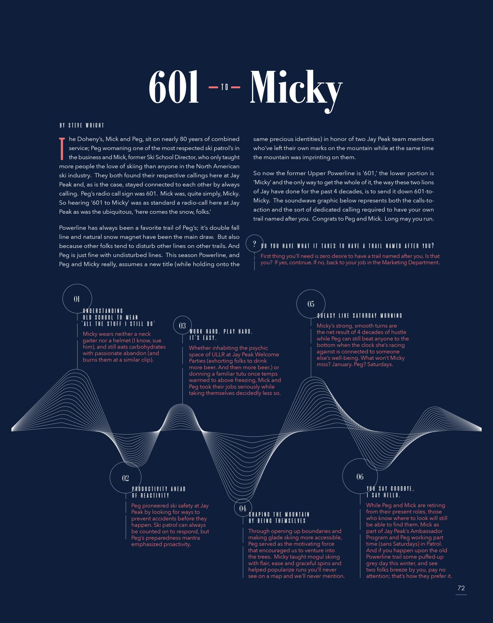 Stylized infographic with text sections and a wavy line design.