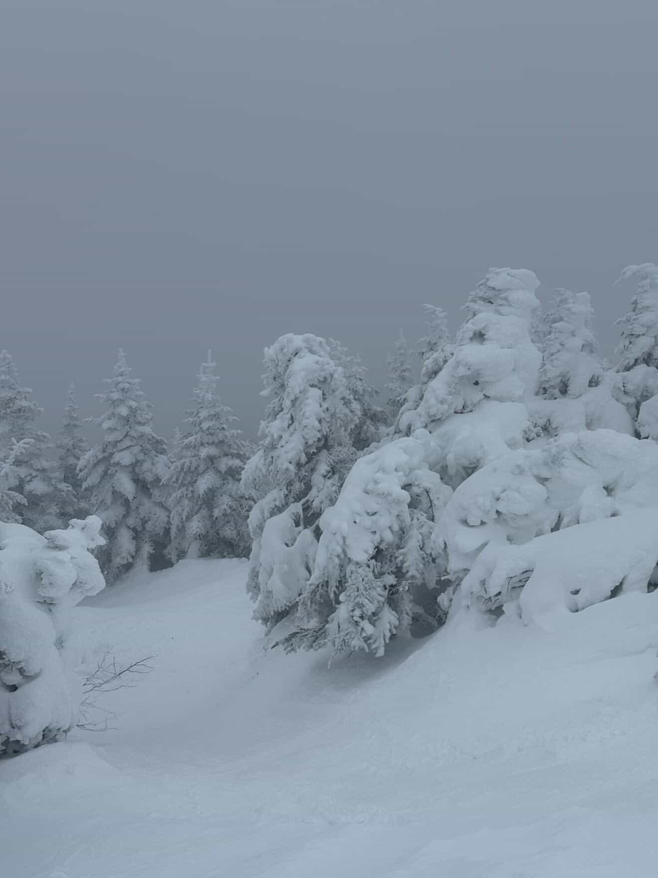 A sight for sore eyes. by @kylescreationss