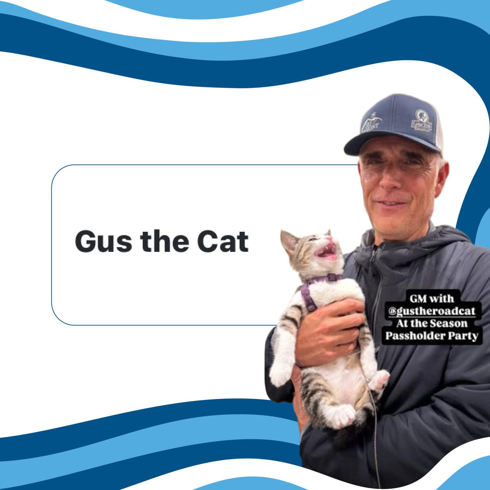 Man smiling, holding a yawning cat, with blue wave design background.