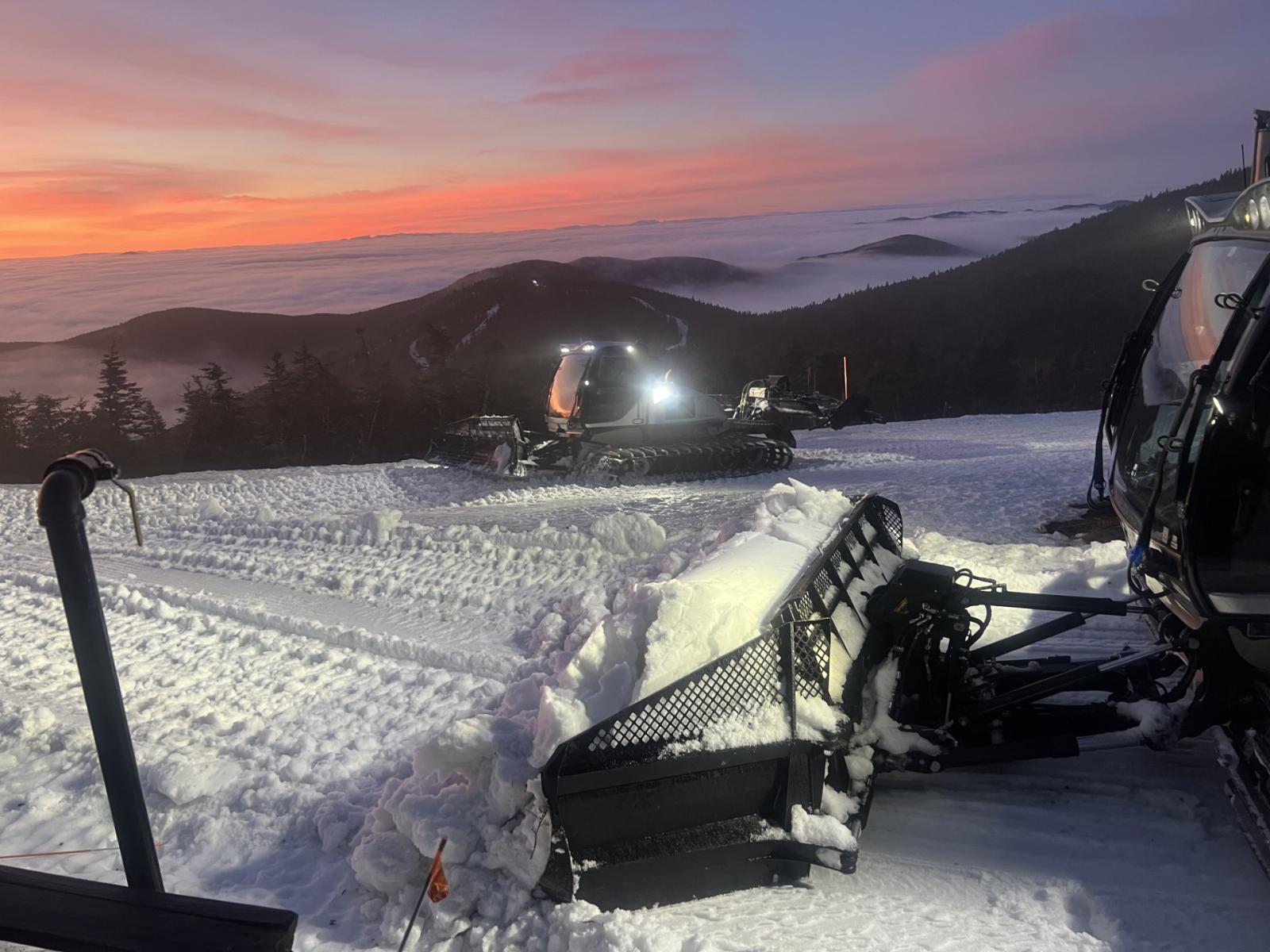 Sunrise Grooming.