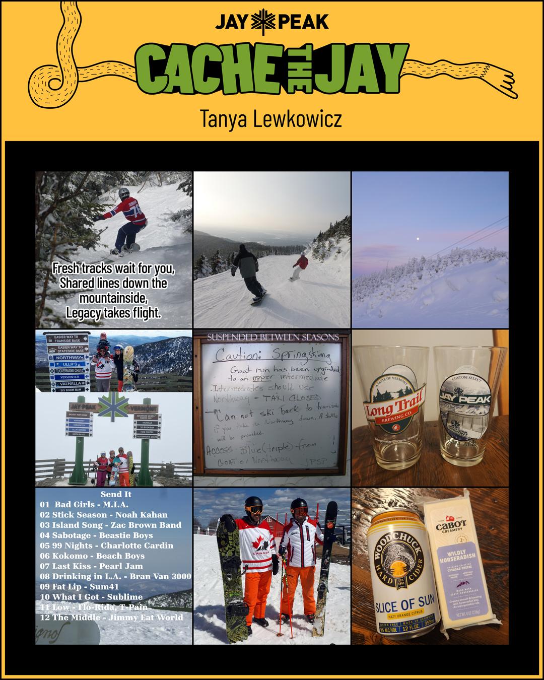 Collage of skiing, mountain views, and souvenir items.