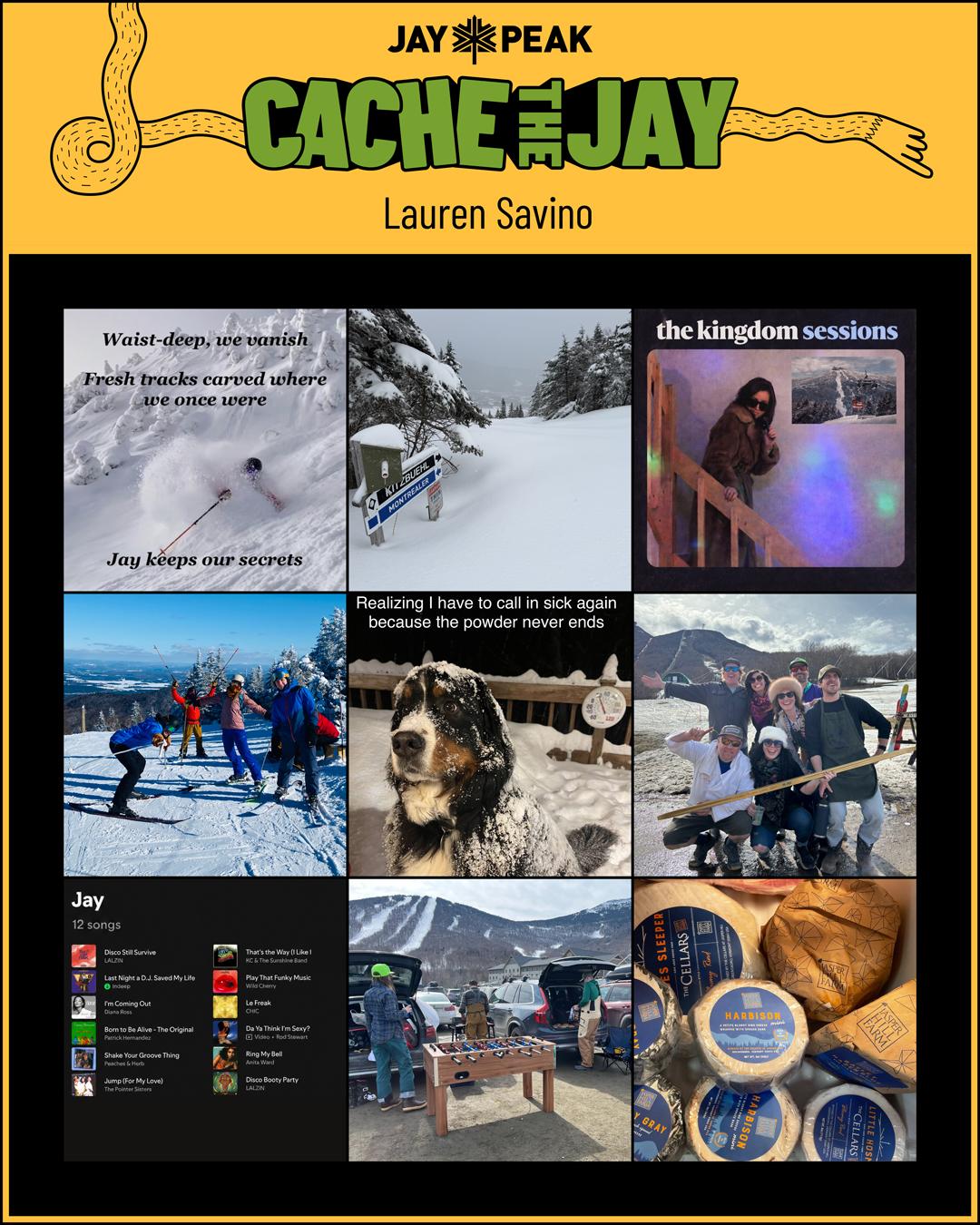 Collage, snow activities, dog, group skiing, concert, bread, skiing outing, graphics.