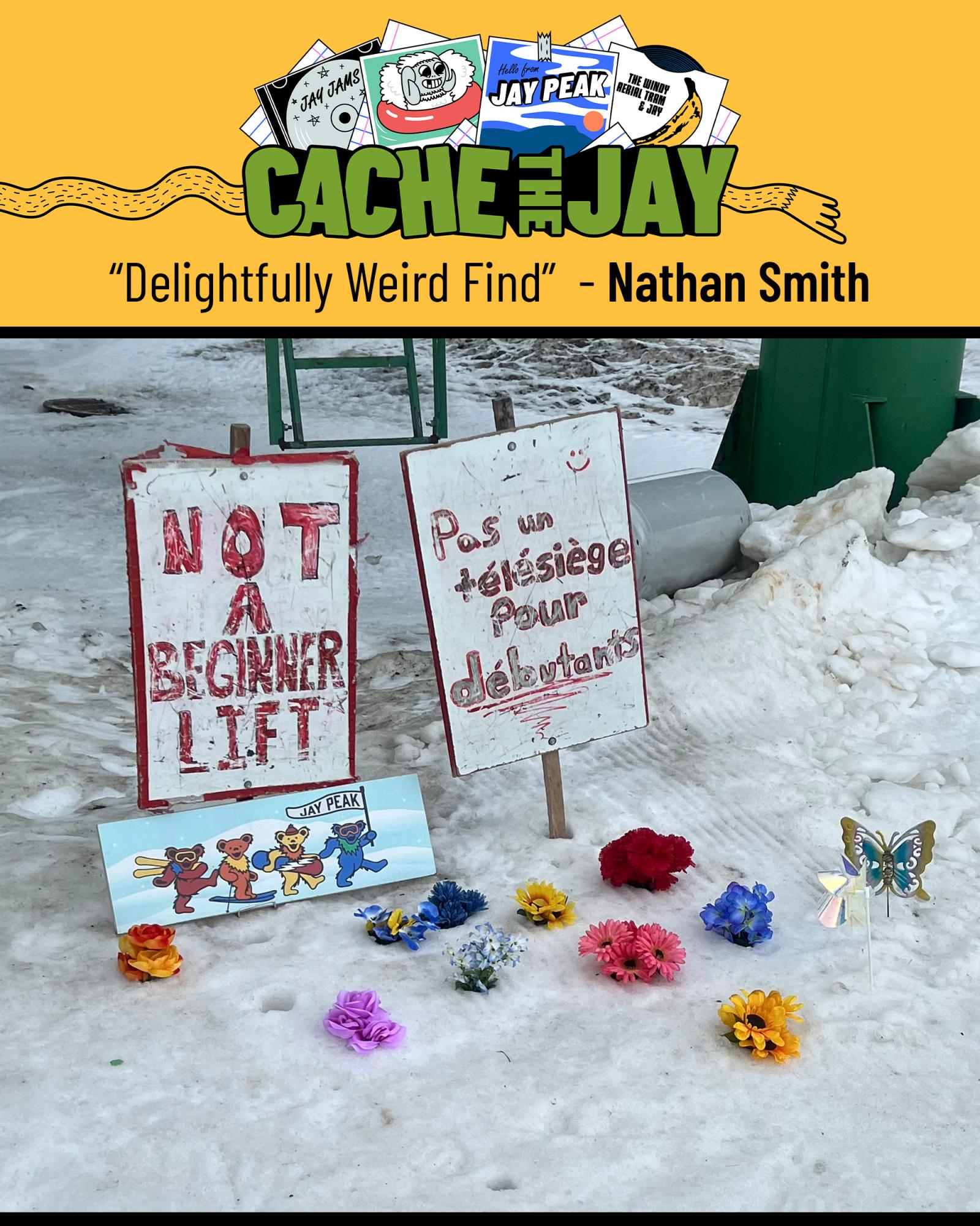 Snow with colorful flowers and two weathered signs standing upright.