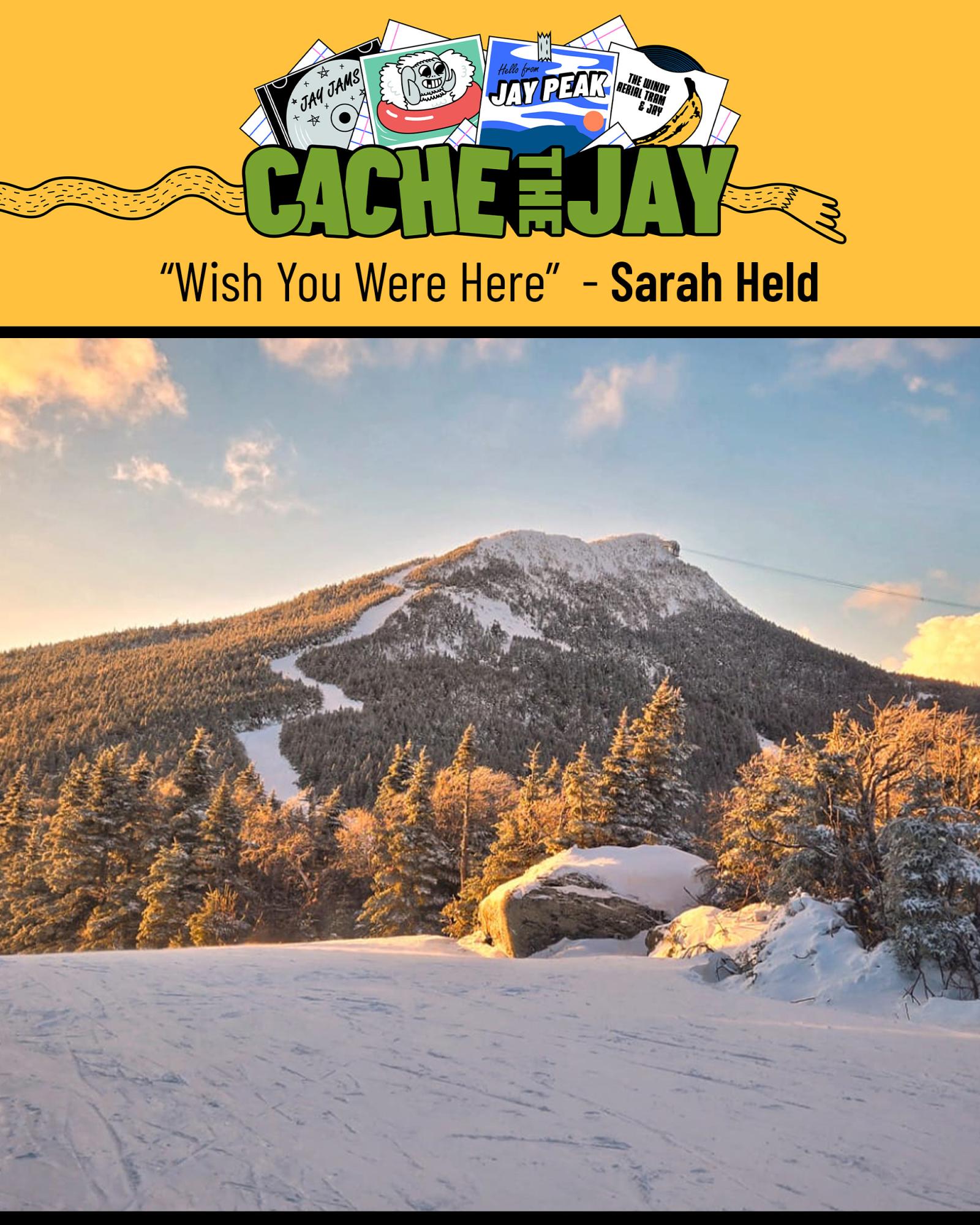 Snowy mountain landscape at sunset with pine trees and a clear sky.