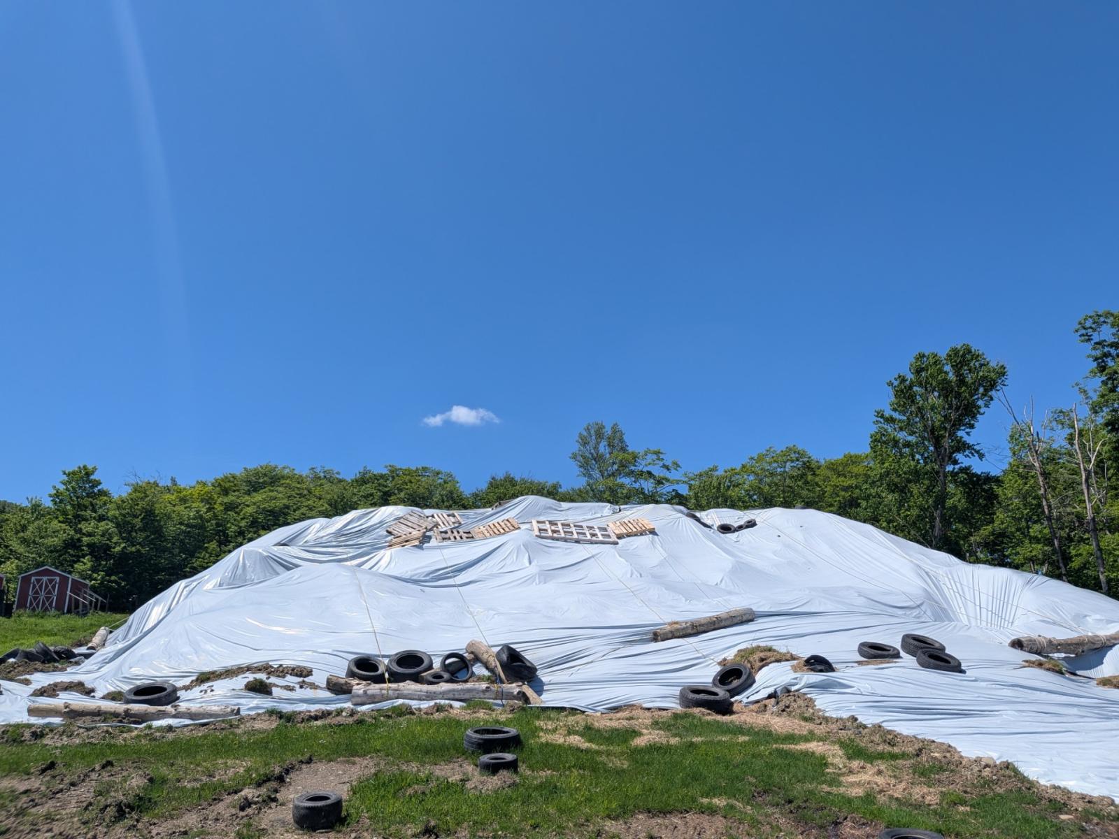 Snow Pile Check.