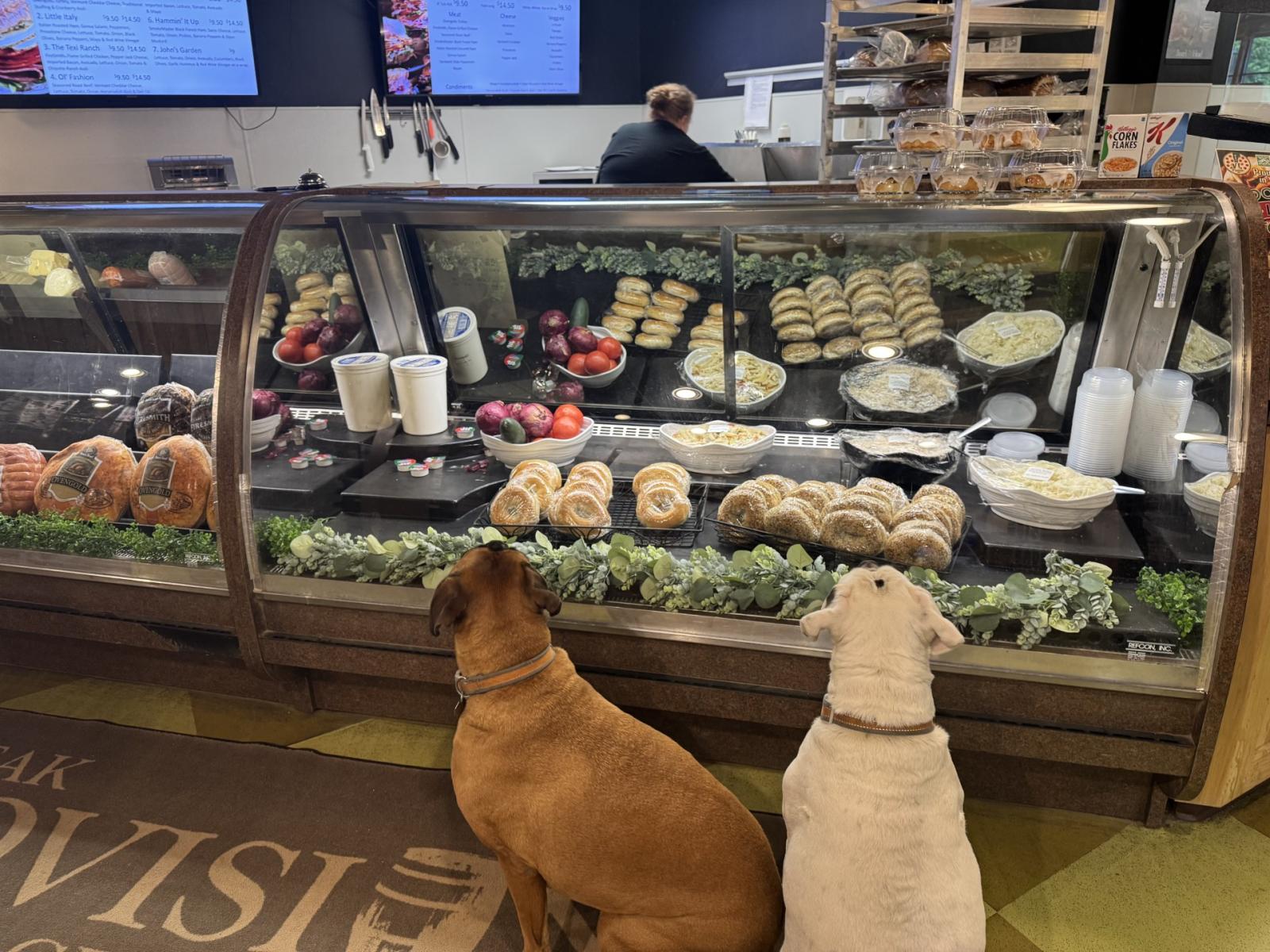 Patiently awaiting lunch.