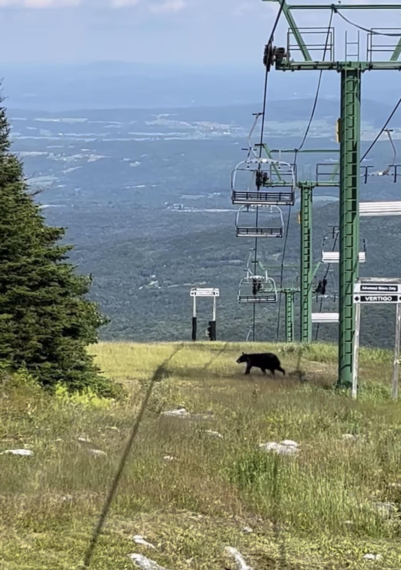 Trail conditions: bearable.