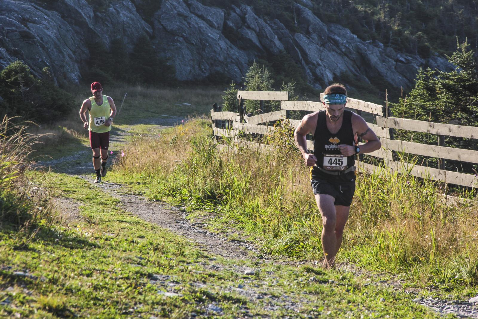 Trail runners race along a sunlit grassy path beside a wooden fence.