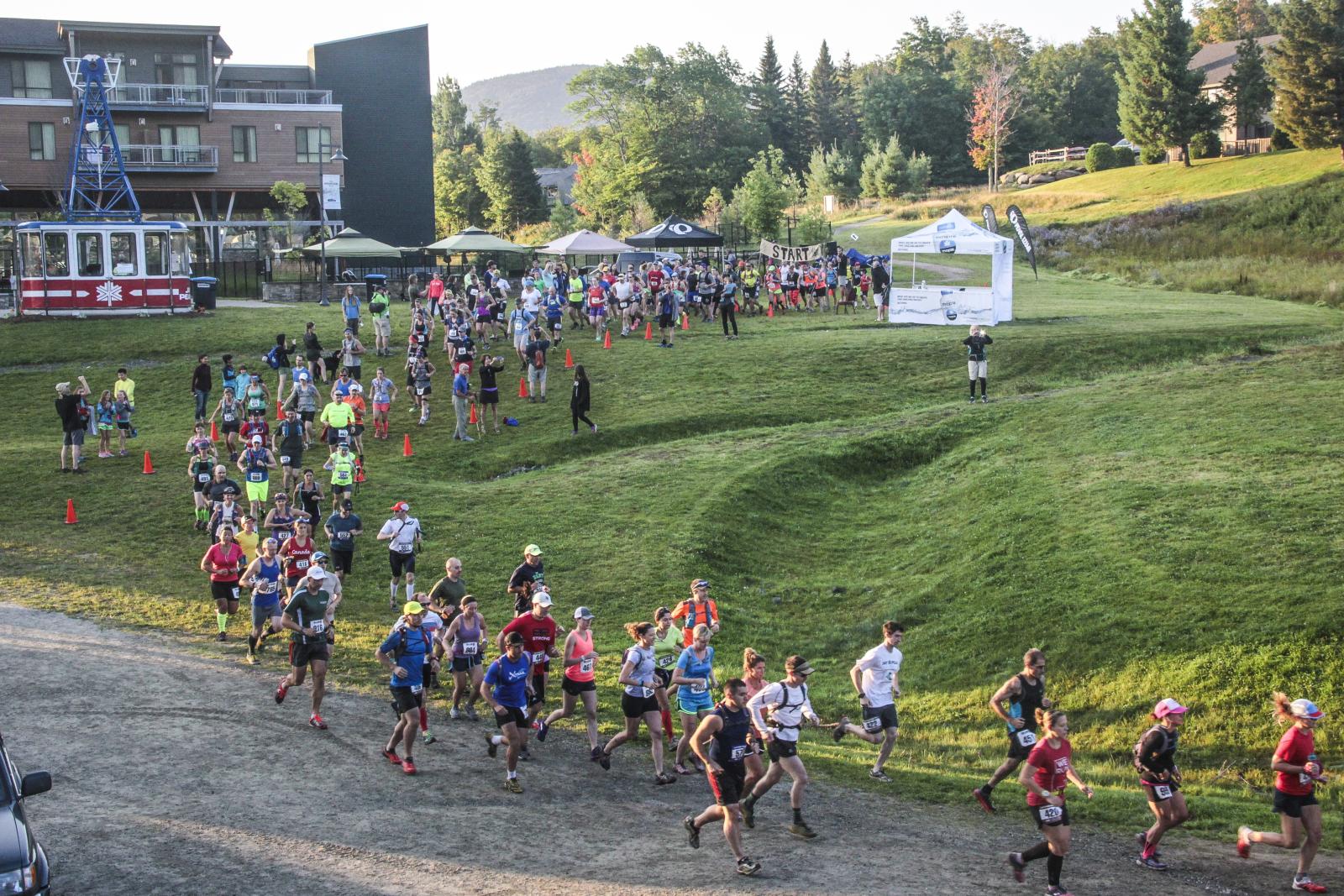 Runners gather at the start of a trail race on a grassy hillside.