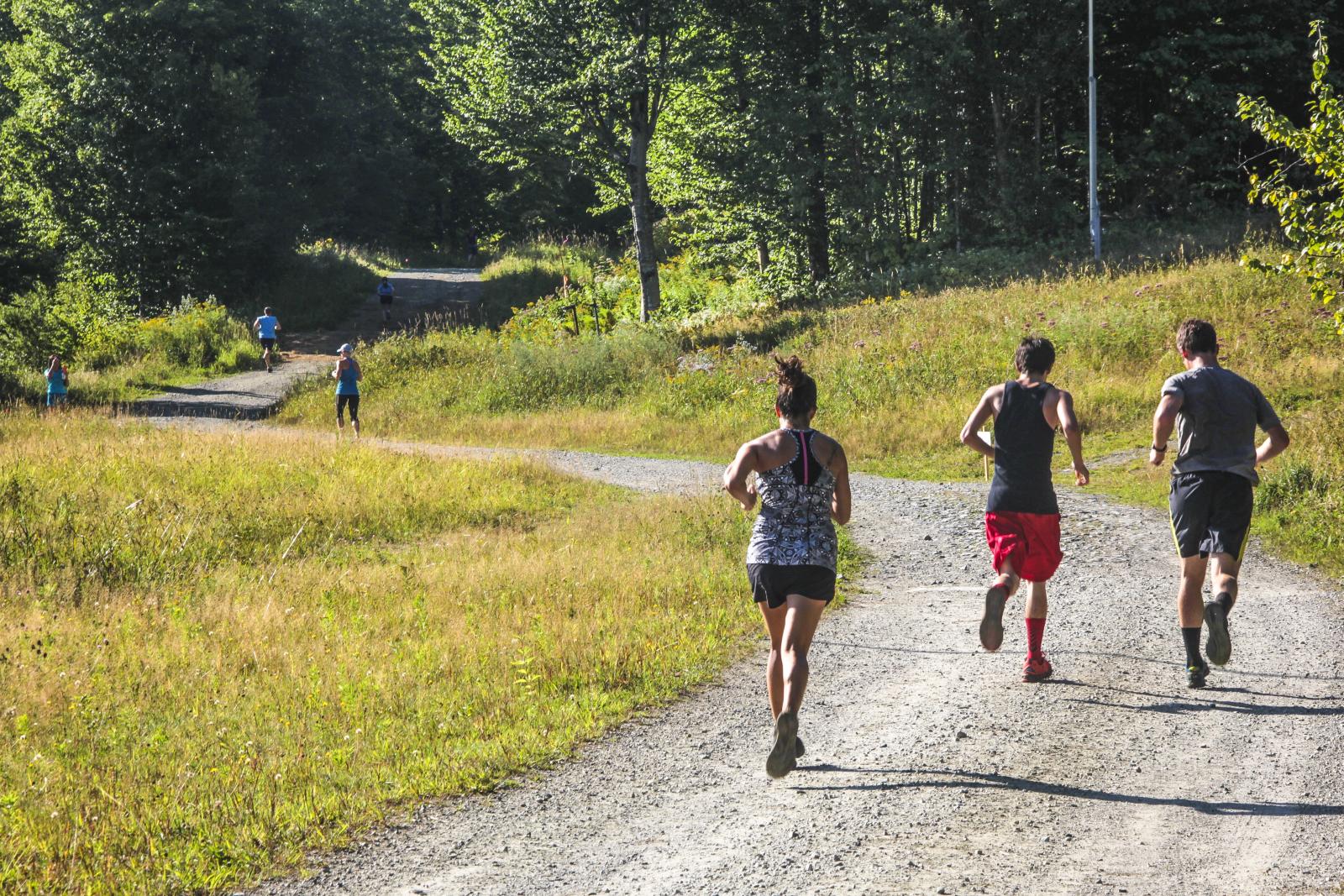 Three people jogging on a gravel trail through a sunny green meadow.