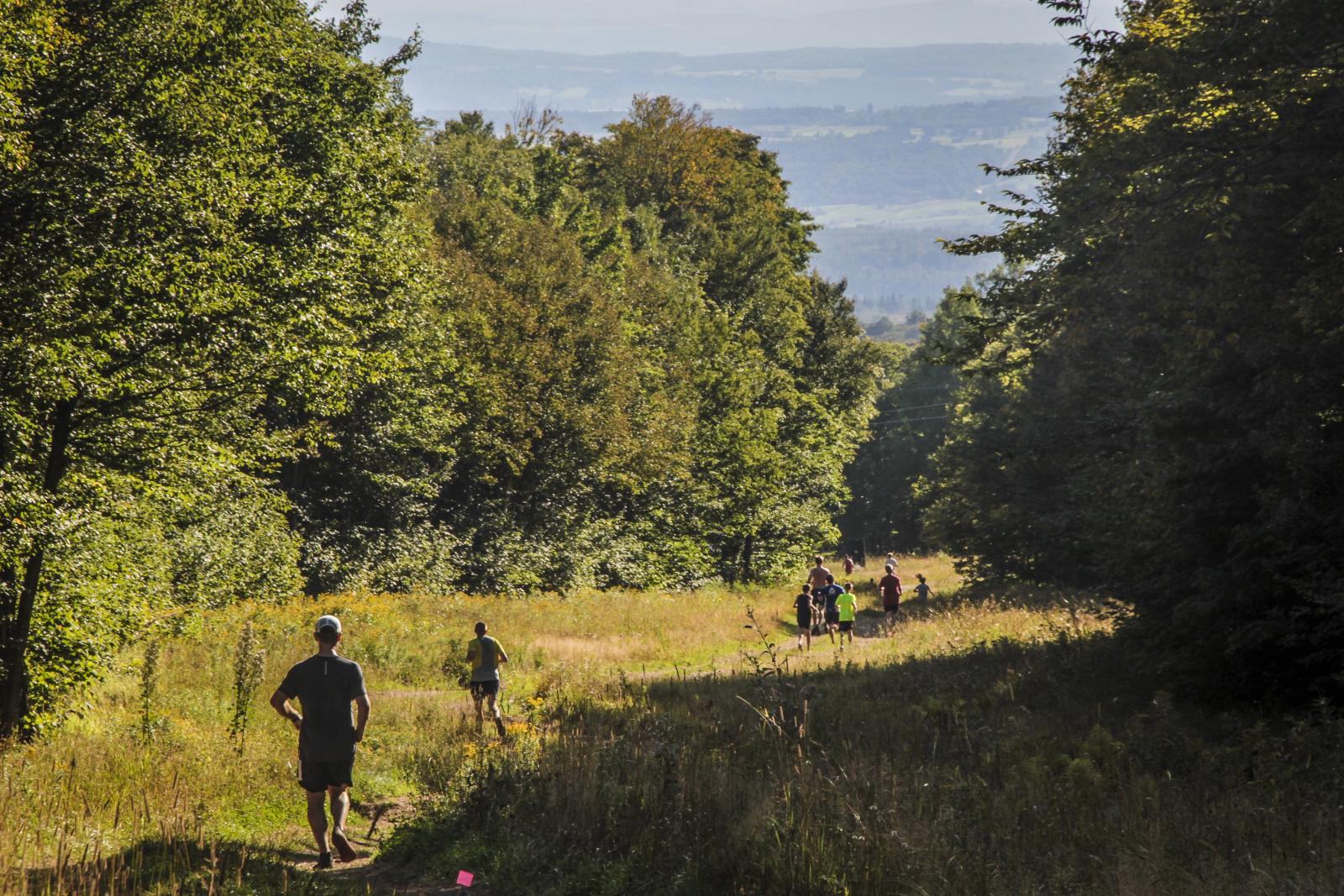 Two people walking through a sunlit forest meadow.