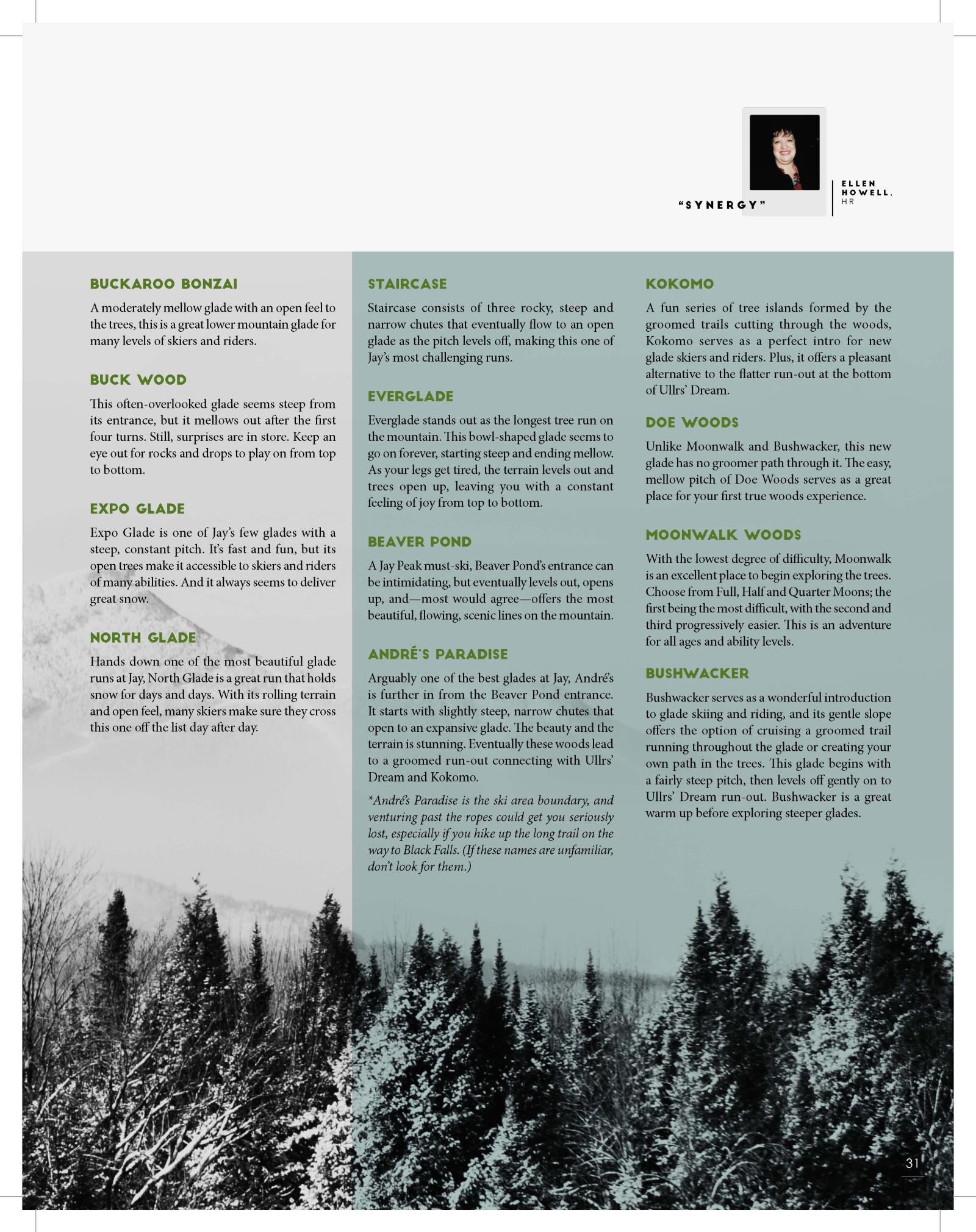 Brochure page with green text columns above a black-and-white forest photograph.