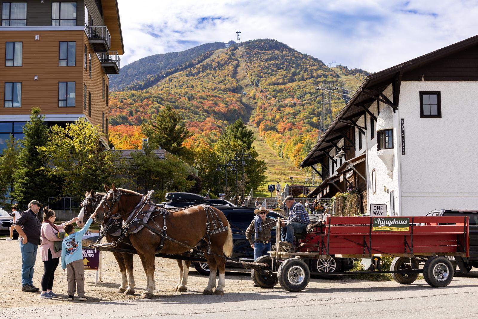 Horse-Drawn Carriage Rides at Scenic Route Weekends.