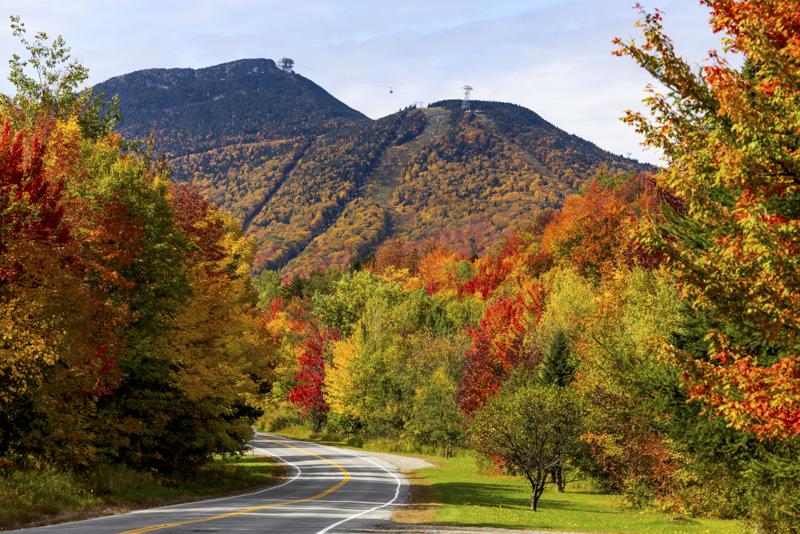 Winding road through colorful autumn trees toward blue mountains.