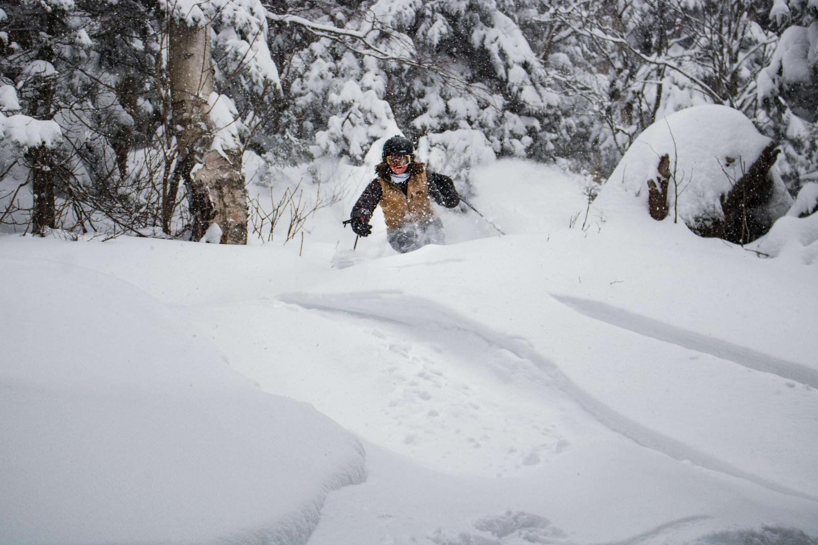 Person snowshoeing through deep snow in a forest.