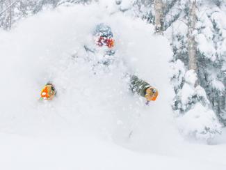 Powder Explosion