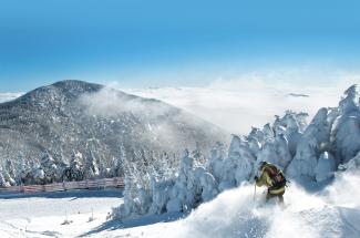 Homepage Winter Background