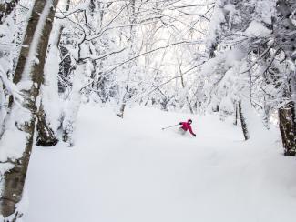 PowderSki_PinkJacket