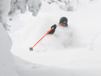 Powder_Skiing_RedPole