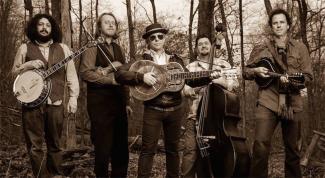 Deadgrass