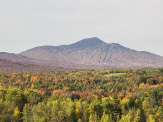 Fall_MtnView