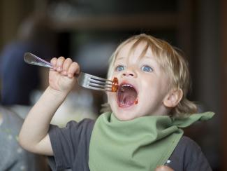 Food_GiantHankHead