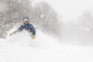 Snowy Powder
