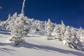 Steep motion through winter oceans.