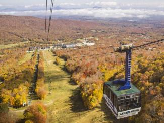 Fall_Tram
