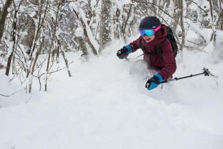 Jan 19 powder skiing
