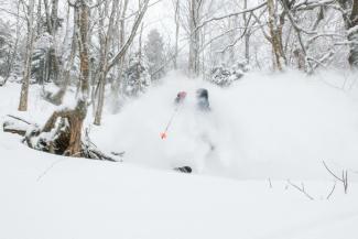 New year, new snow.