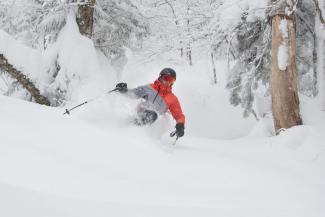 A blast of blower pow for Saturday softies. Courtesy of Tim Fater.